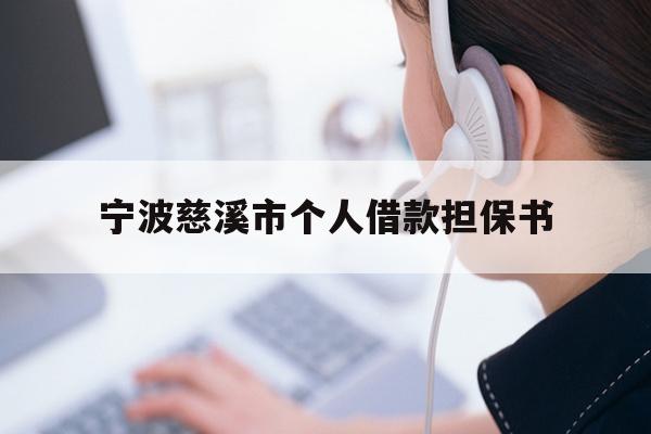 宁波慈溪市个人借款担保书