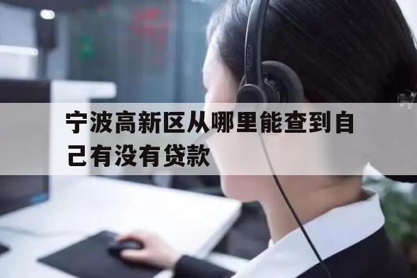 详细阅读:宁波高新区从哪里能查到自己有没有贷款 宁波高新区从哪里能查到自己有没有贷款