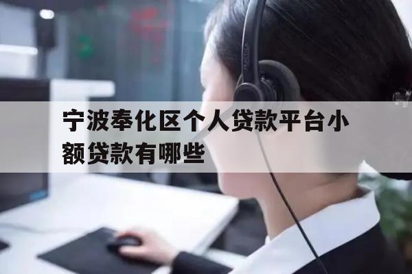 宁波奉化区个人贷款平台小额贷款有哪些