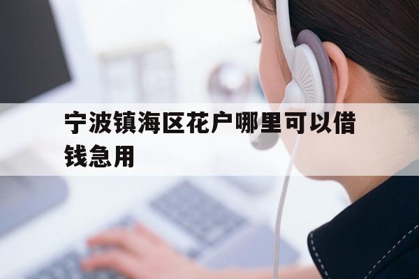 宁波镇海区花户哪里可以借钱急用