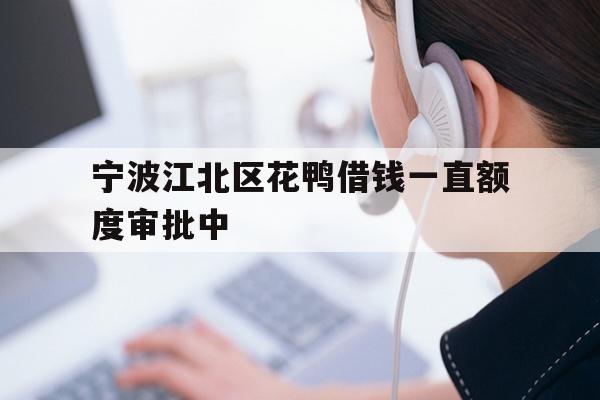 宁波江北区花鸭借钱一直额度审批中
